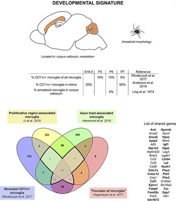 Protective Microglial Subset in Development, Aging, and Disease: Lessons From Transcriptomic Studies